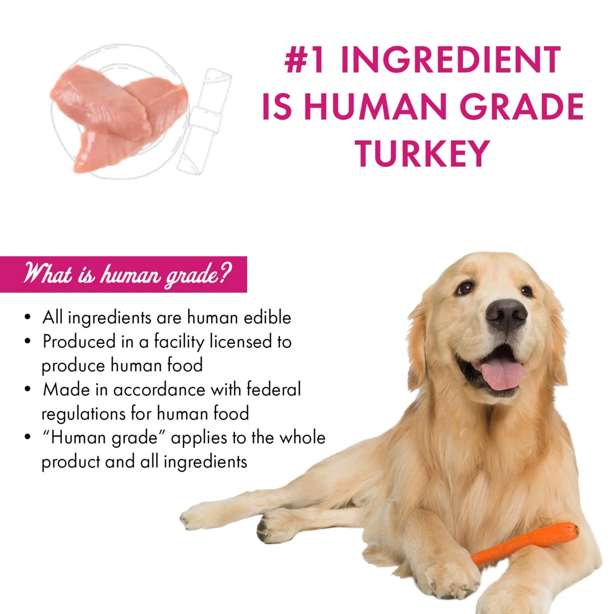 Member's Mark Turkey Stew with Vegetables Wet Dog Food, 11 oz., 24 boxes