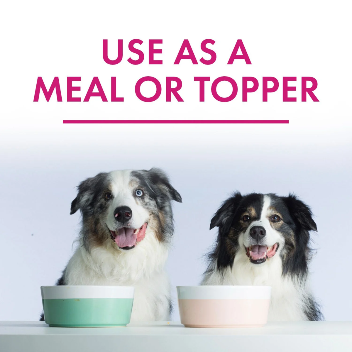 Member's Mark Turkey Stew with Vegetables Wet Dog Food, 11 oz., 24 boxes